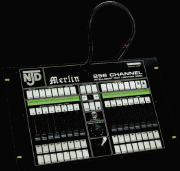 merpic.gif (63122 bytes)